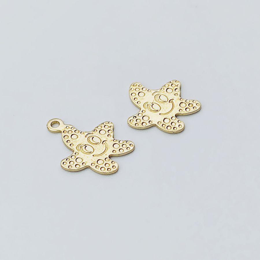 Estrela do mar pequena