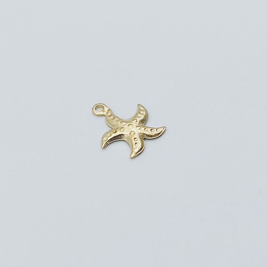 Estrela do mar 1 argola - Image 3