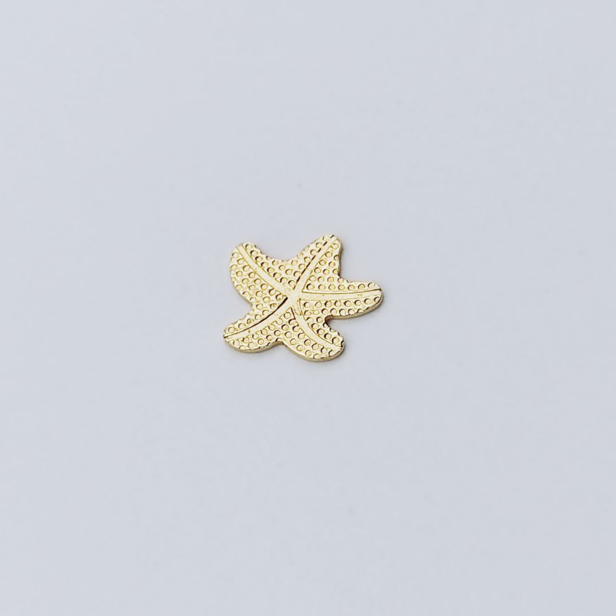 Estrela do mar - Image 3