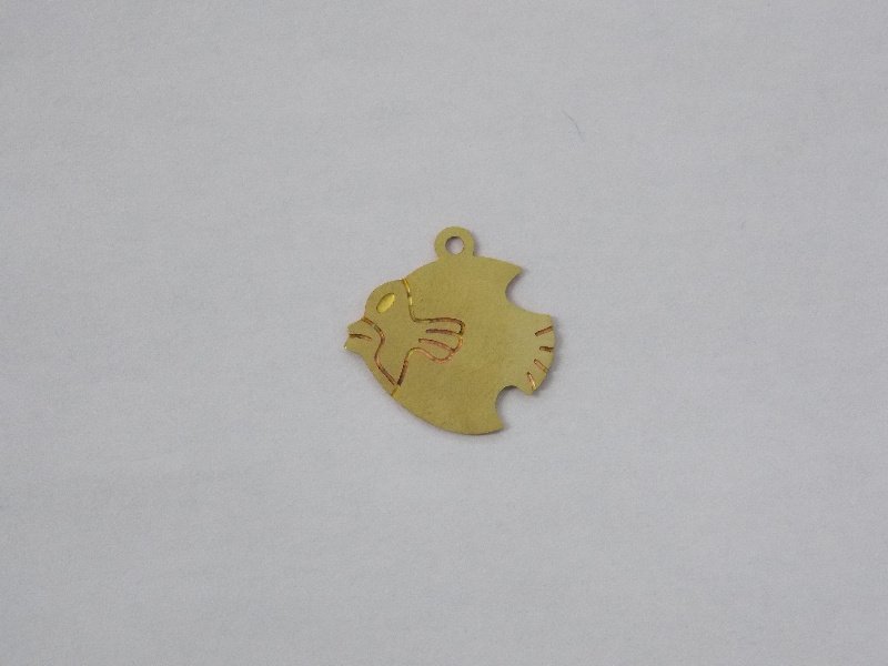 Peixe Liso 12mm C/ Cabeça